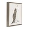 Stupell Industries Raccoon Toilet Paper Hoarder Framed Floater Canvas Wall Art